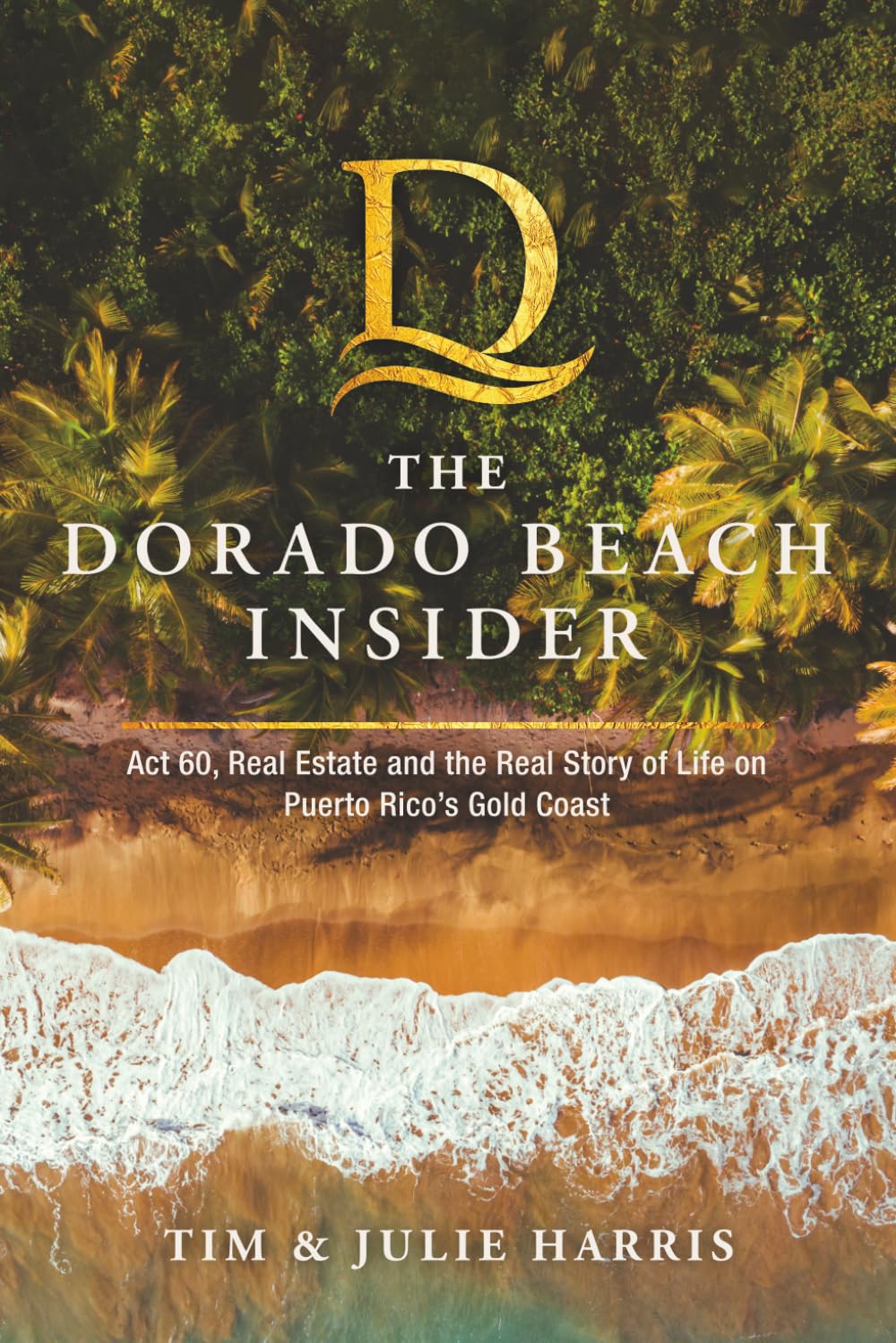 The Dorado Beach Insider book cover