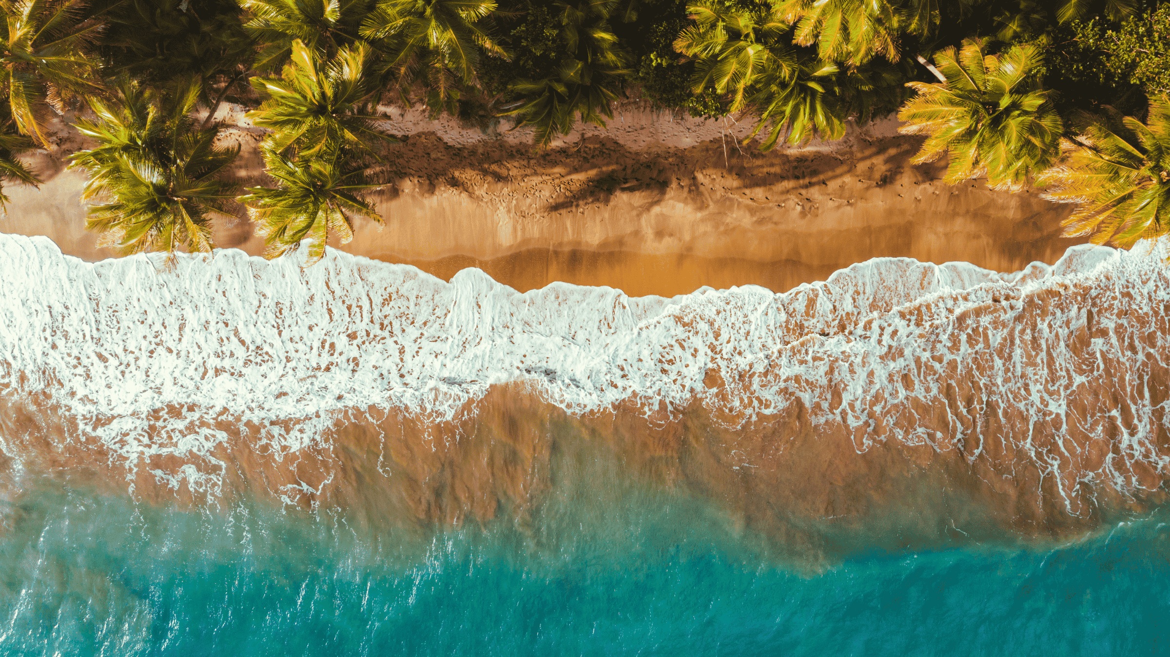 Aerial view of the Dorado coastline